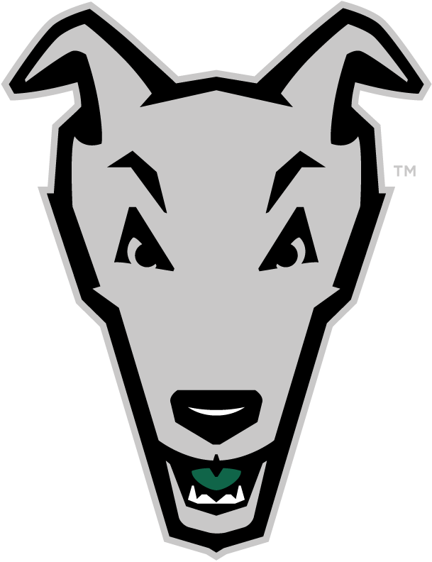 Loyola-Maryland Greyhounds 2011-Pres Alternate Logo 01 iron on paper